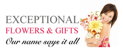 Boca Raton Flowers